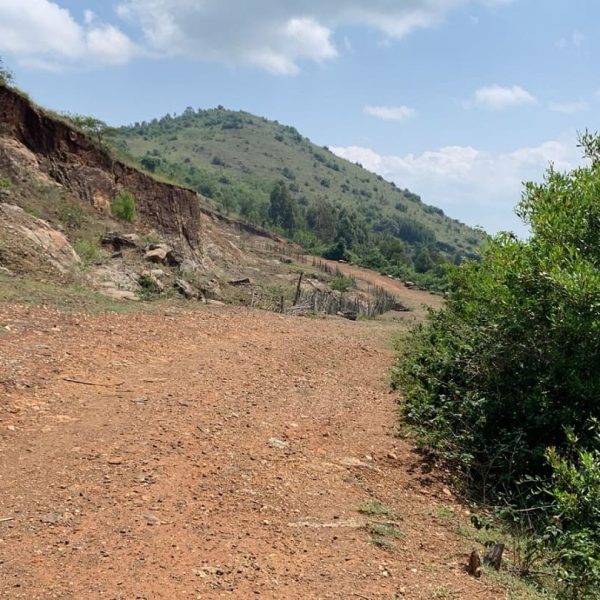 devastated landscape (1)